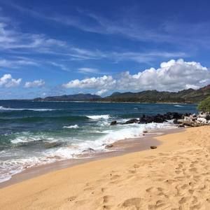 Meet your Posher, Patty